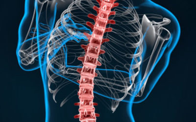 Adolescent Spinal Curvature